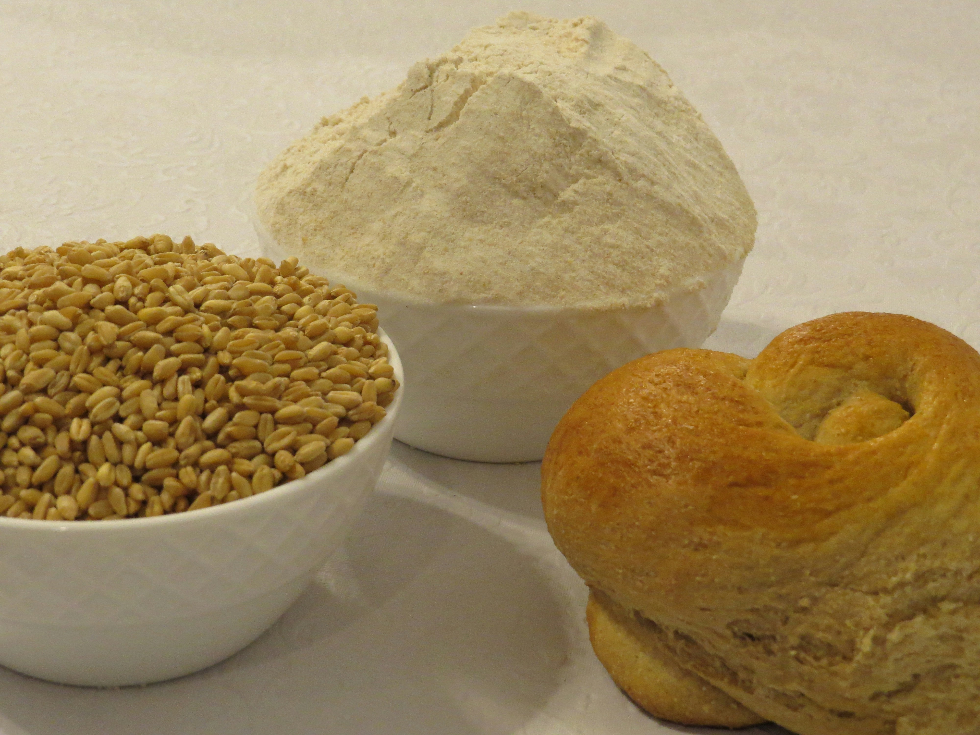 Wheat grain stalks