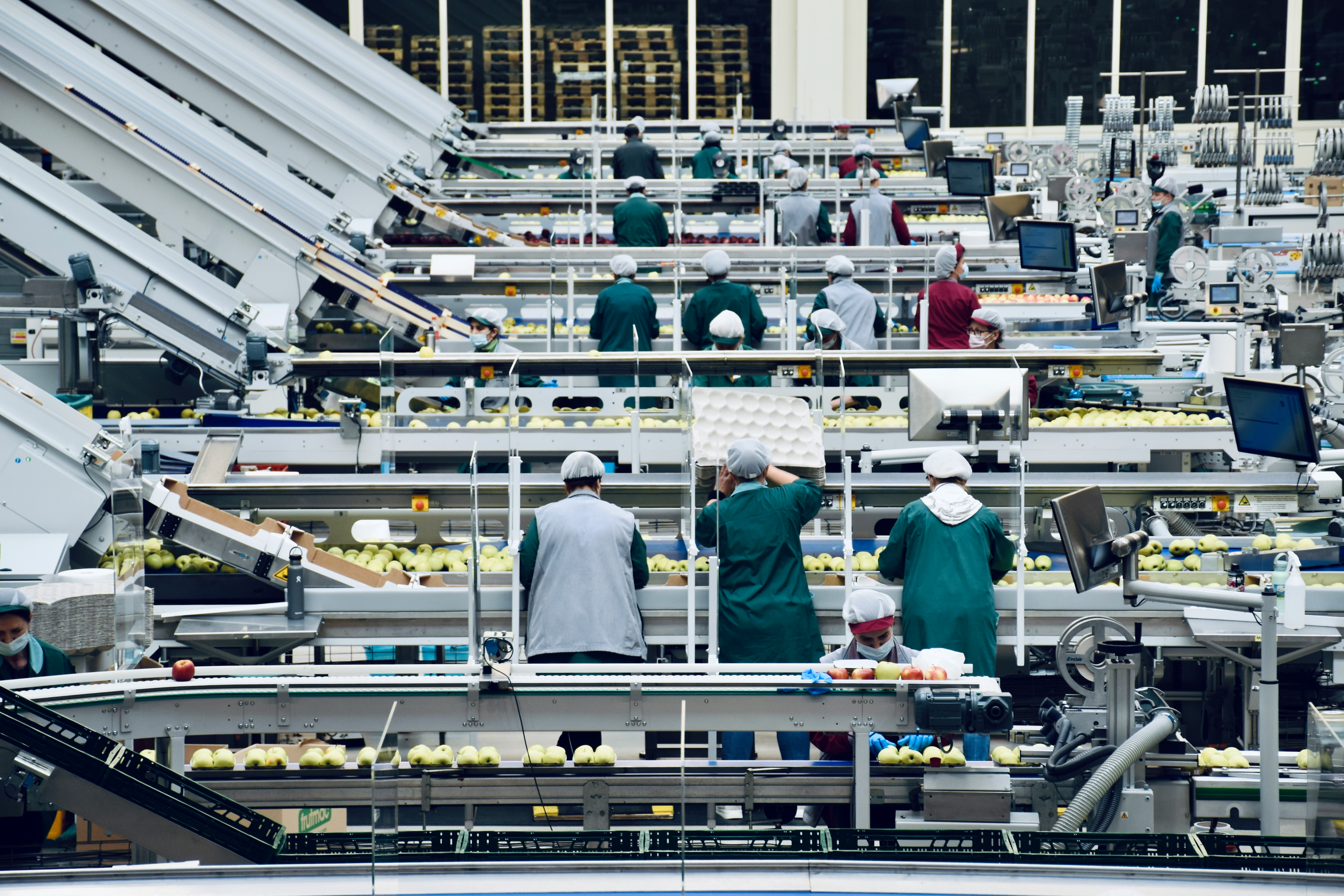Food manufacturing team on a production line